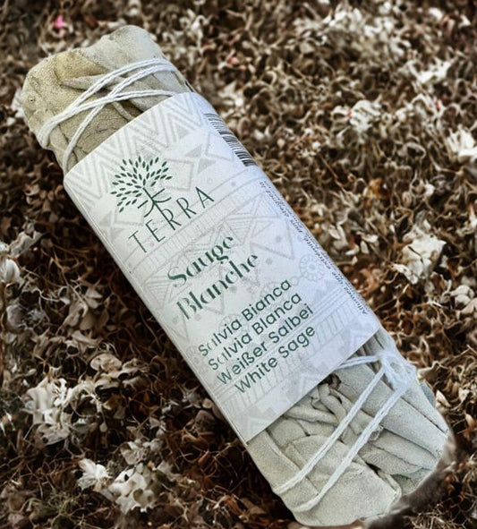 Sauge Blanche de Californie – Fagot Naturel 25-30 g (Purification & Protection)